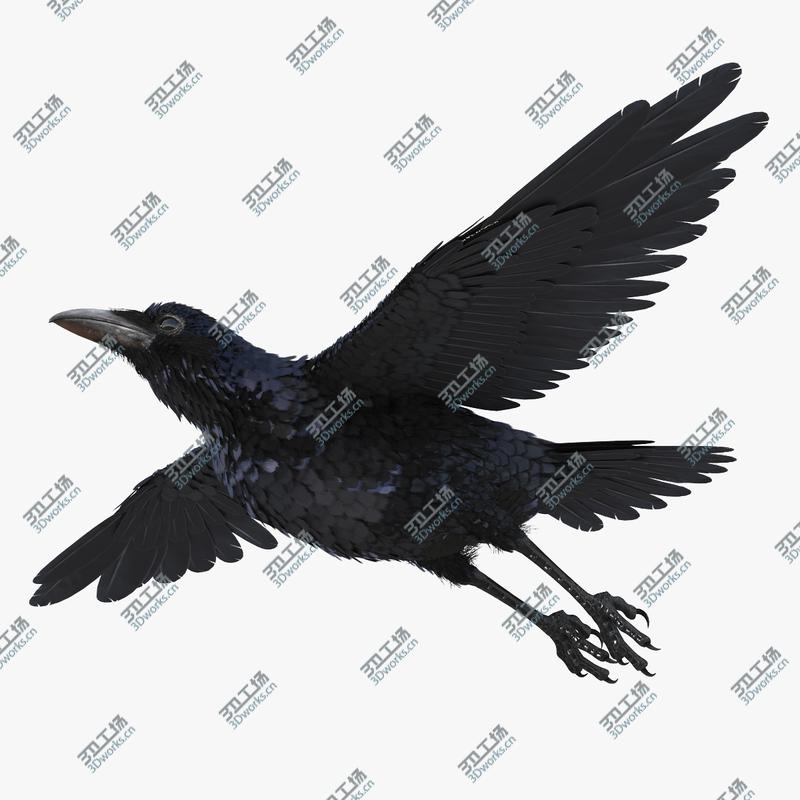images/goods_img/2021040162/Common Raven Rigged 3D model/1.jpg